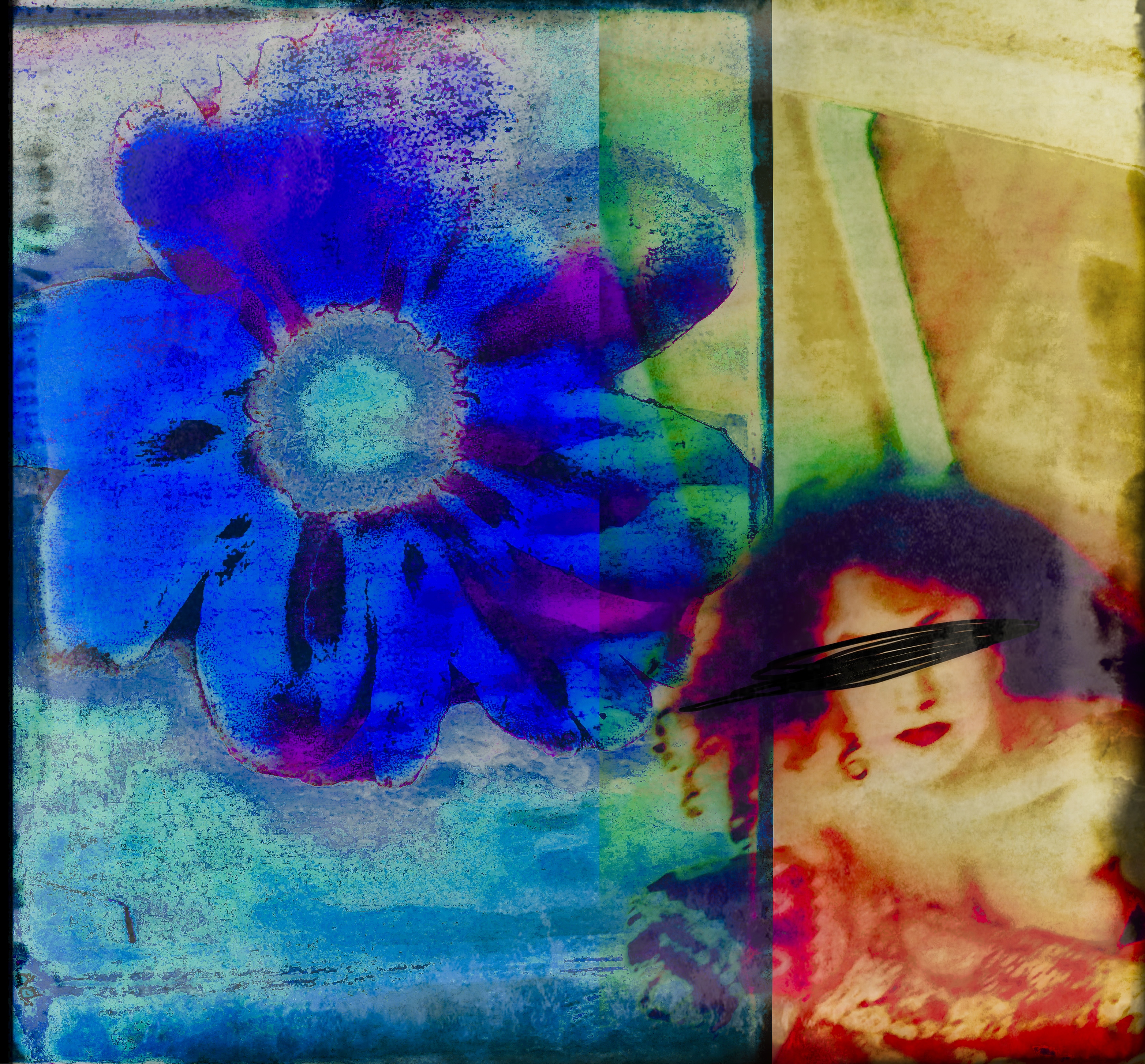 Blue Flower time in the woods